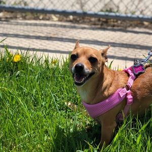 Meet your Posher, Kandice